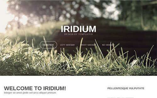 Iridum